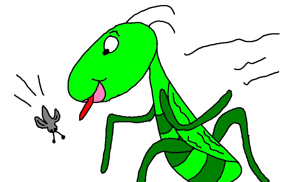 Locust Grasshopper Clipart